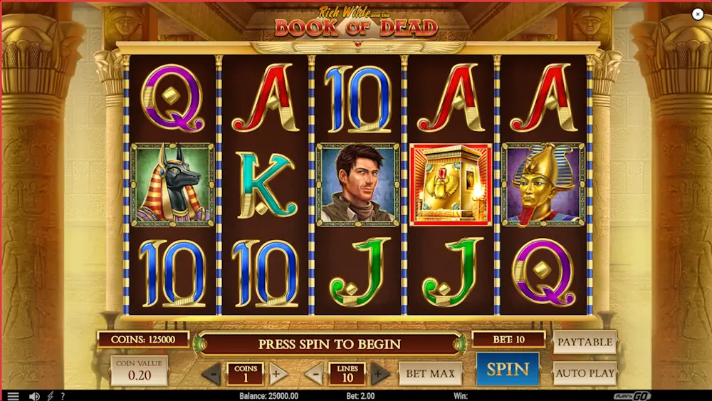 Book of Dead Slot Screenshot